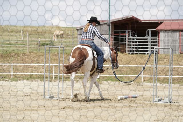s_K3F06808.JPG